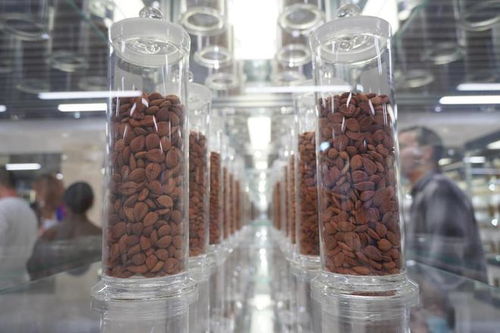 廣東一方制藥 創新中藥配方顆粒，科技賦能傳統智慧